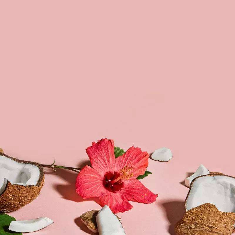 Shea Moisture Coconut & Hibiscus Defining Styling Gel  425g