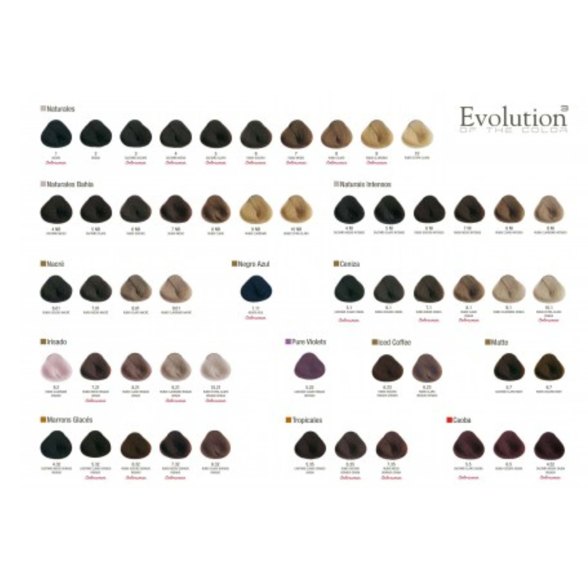 Alfaparf Evolution Cube Dye 60ml