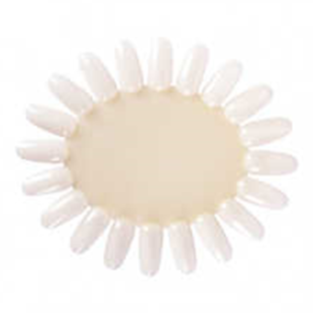 Bifull Muestrario Uñas 3 Units