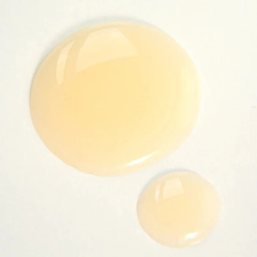 Curly Angels Absolution Shampoo